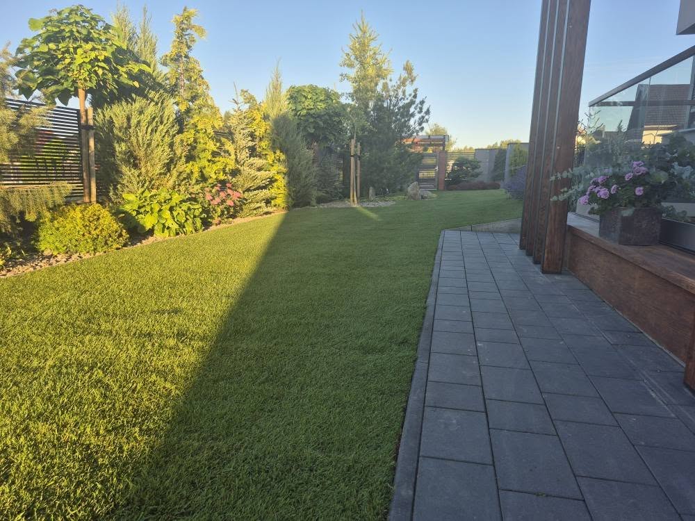 Trawnik z rolki po realizacji - zdjęcie 2