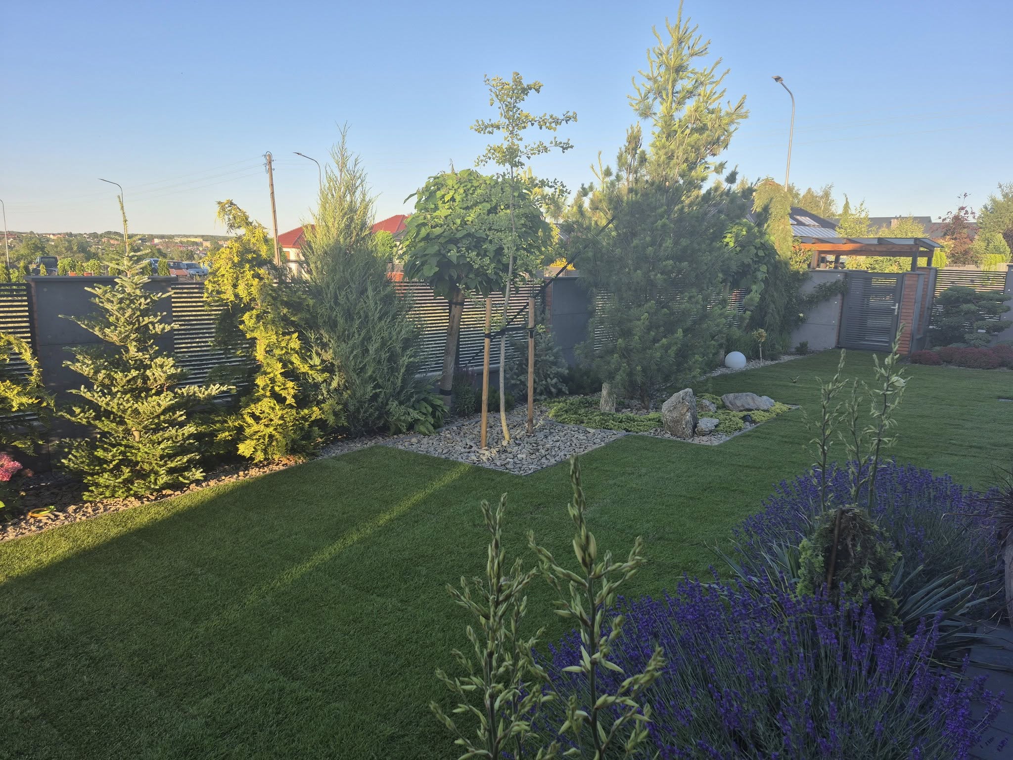 Trawnik z rolki po realizacji - zdjęcie 4